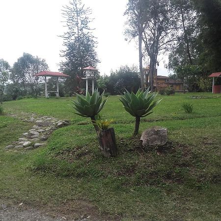 La Gaviota Bnb Acomodação com café da manhã Filandia Exterior foto